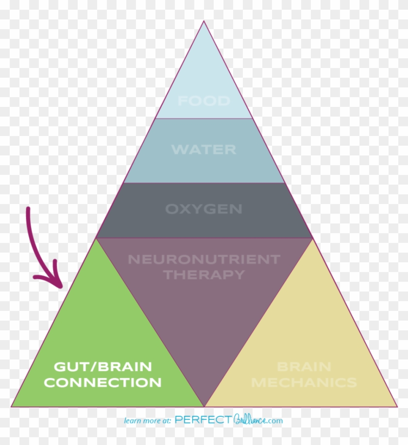 Digestive Issues Making You Feel Embarrassed - Triangle Clipart #3593209