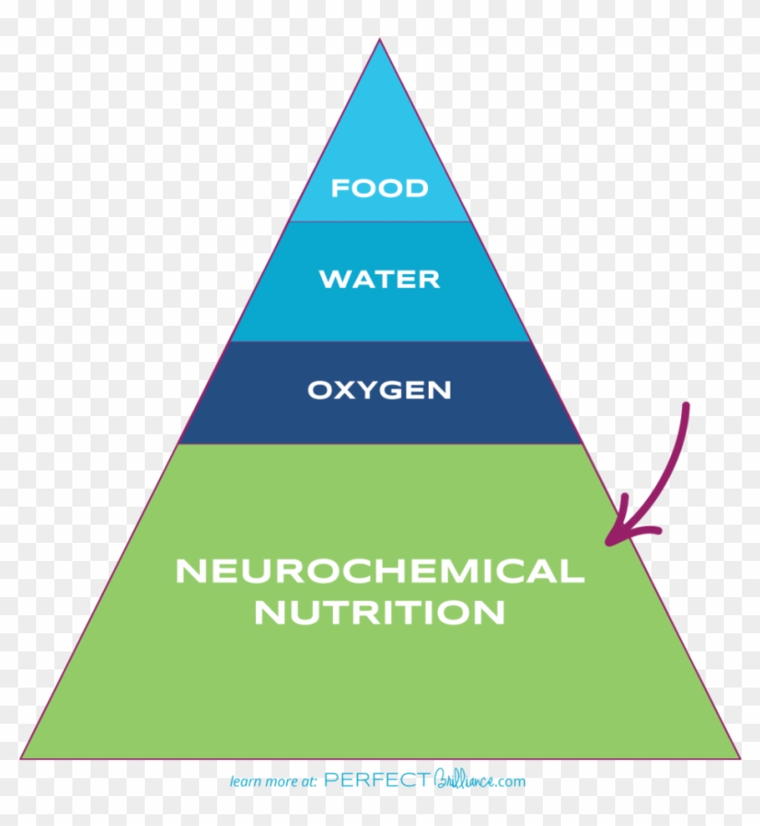 Learn More About Neurochemical Nutrition At Perfectbrilliance - Triangle Clipart #3593792