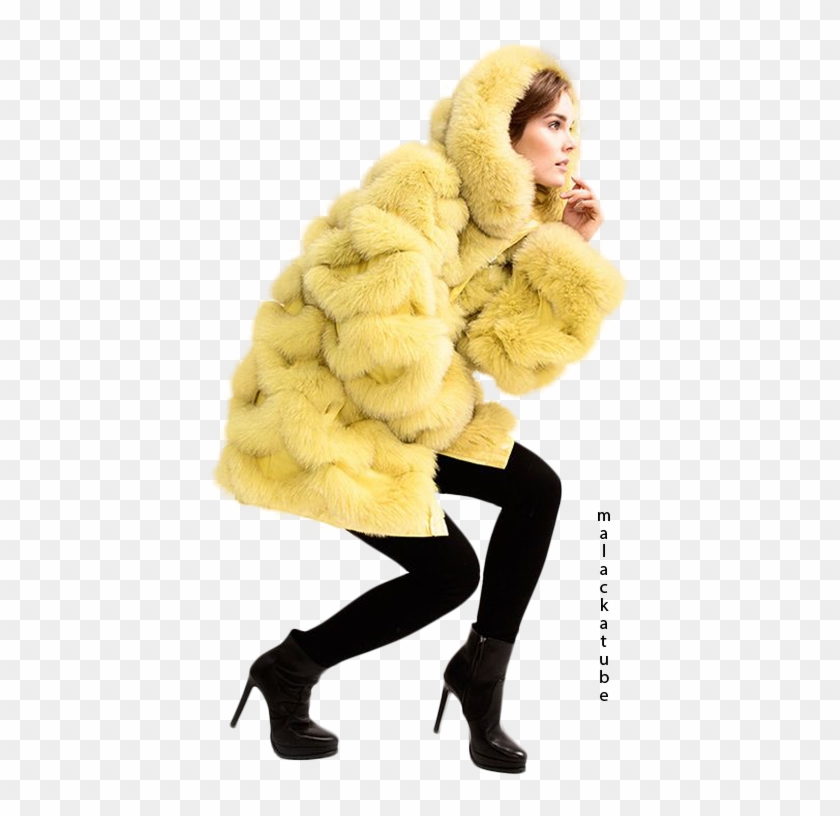 Fur Clothing Clipart #3596541