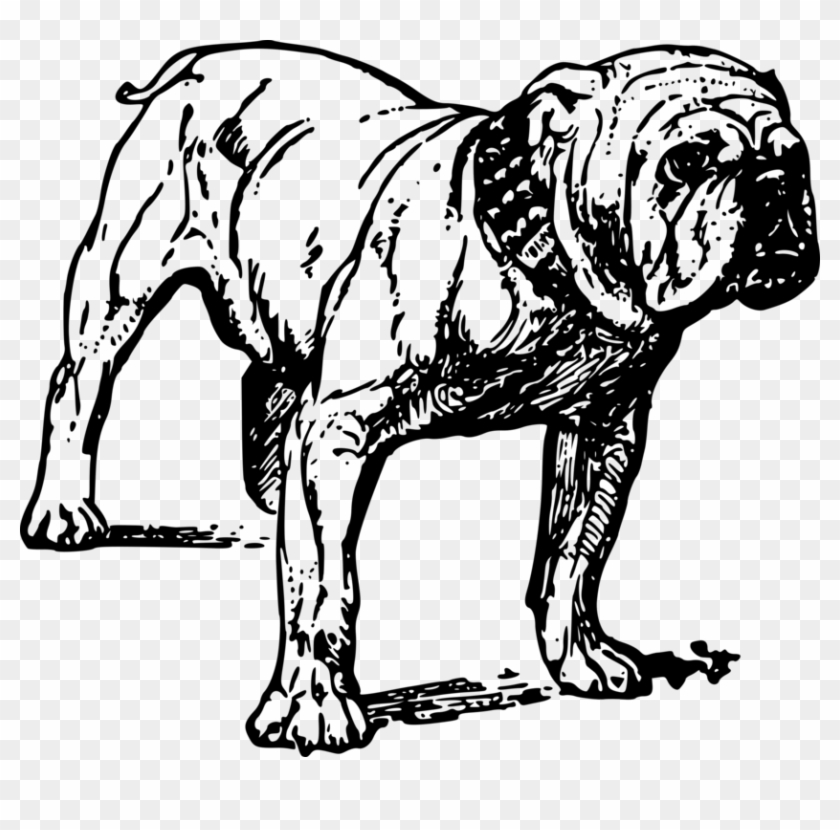 French Bulldog Bull Terrier Pit Bull Drawing - Bulldog Clip Art - Png Download