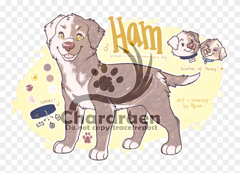 Male Pitbull X Bernese Mtn Dog - Cartoon Clipart