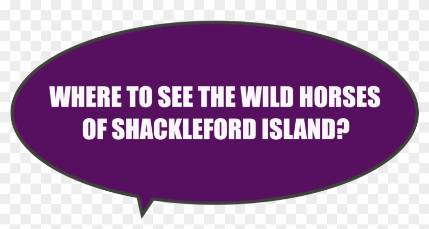 Can You See The Wild Horses On Shackleford Island From - Dating Site Murderer Meme Clipart #3597476