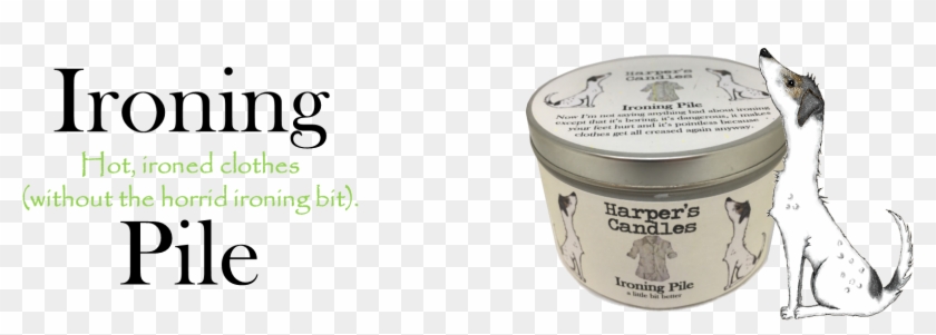 Insect Clipart #3597576