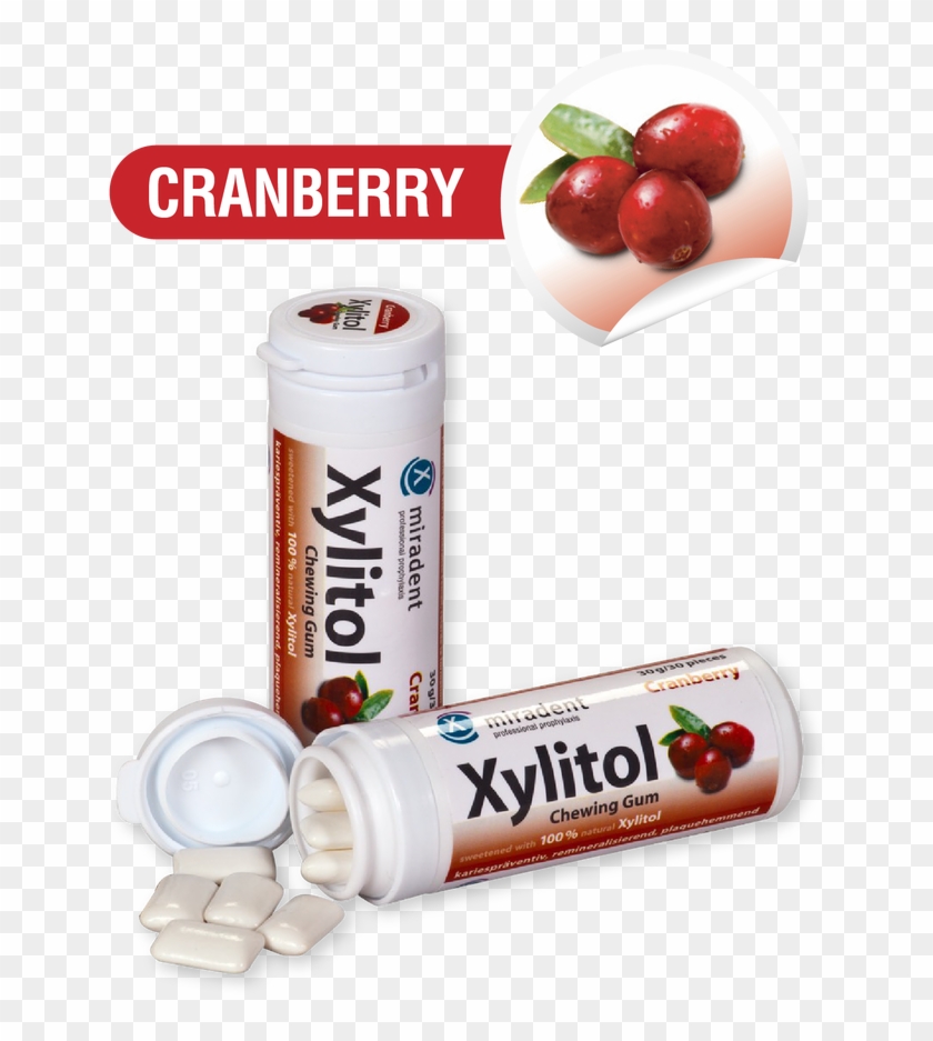 Xylitol Chewing Gum 30g/30 Pieces - Chewing Gum Clipart