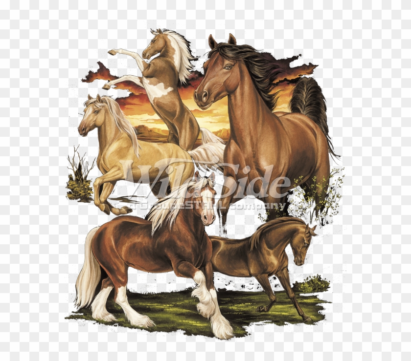 Horse Collage - Sorrel Clipart