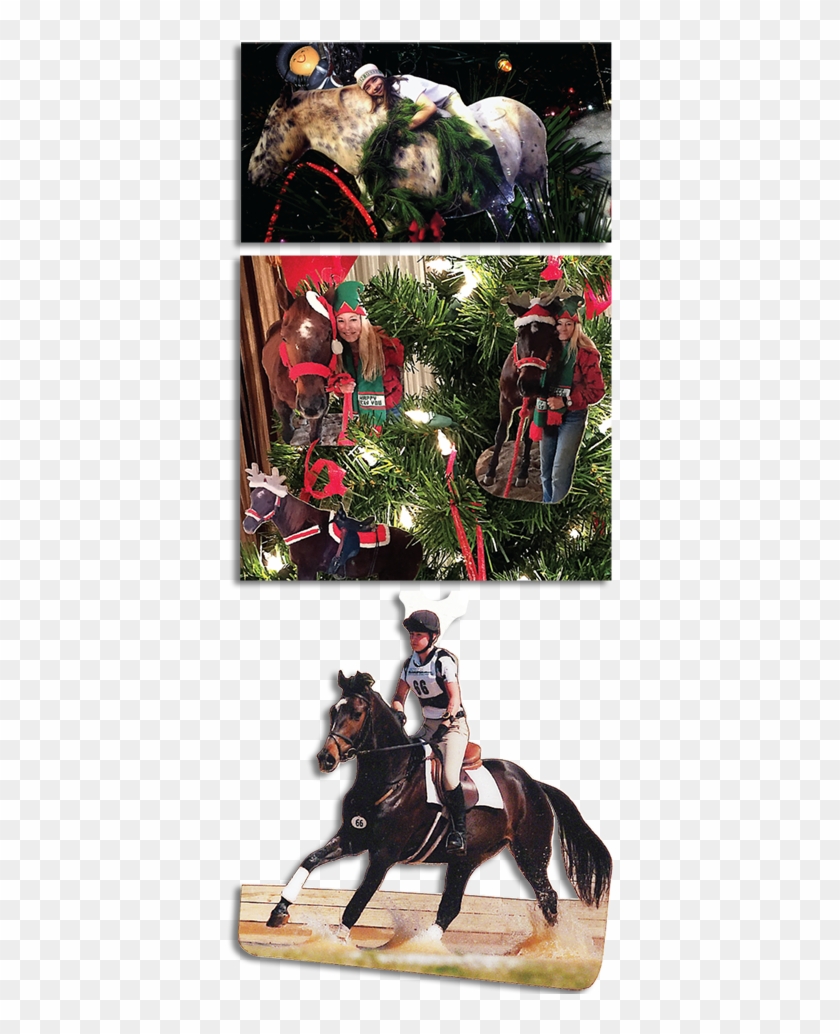Photo Ornaments - Stallion Clipart #3597786