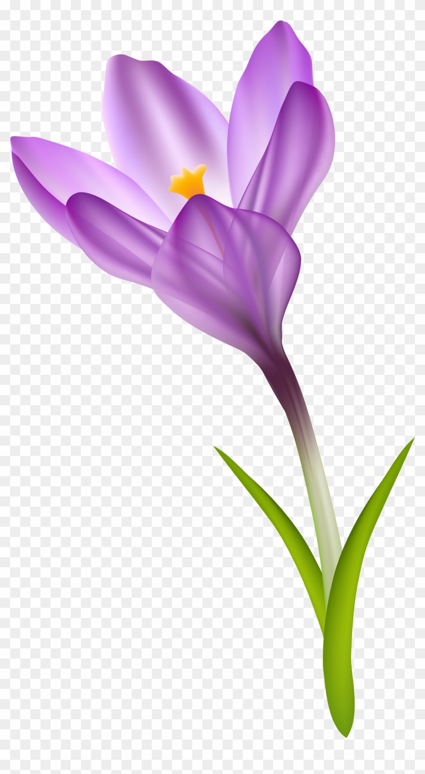 Spring Crocus Transparent Png Clip Art Image - Crocus Clip Art Free
