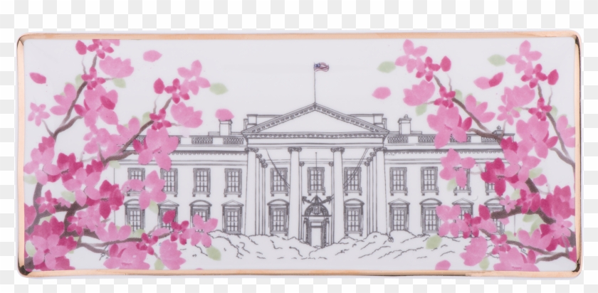 Cherry Blossom Clipart