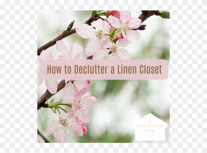 Do You Have An Area In Your House That Give You Fits - Evangelio Salmo De Hoy Clipart