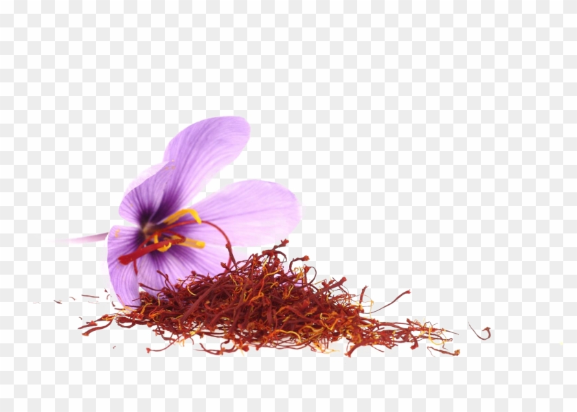 Saffron Png Download Image - خواص زعفران Clipart