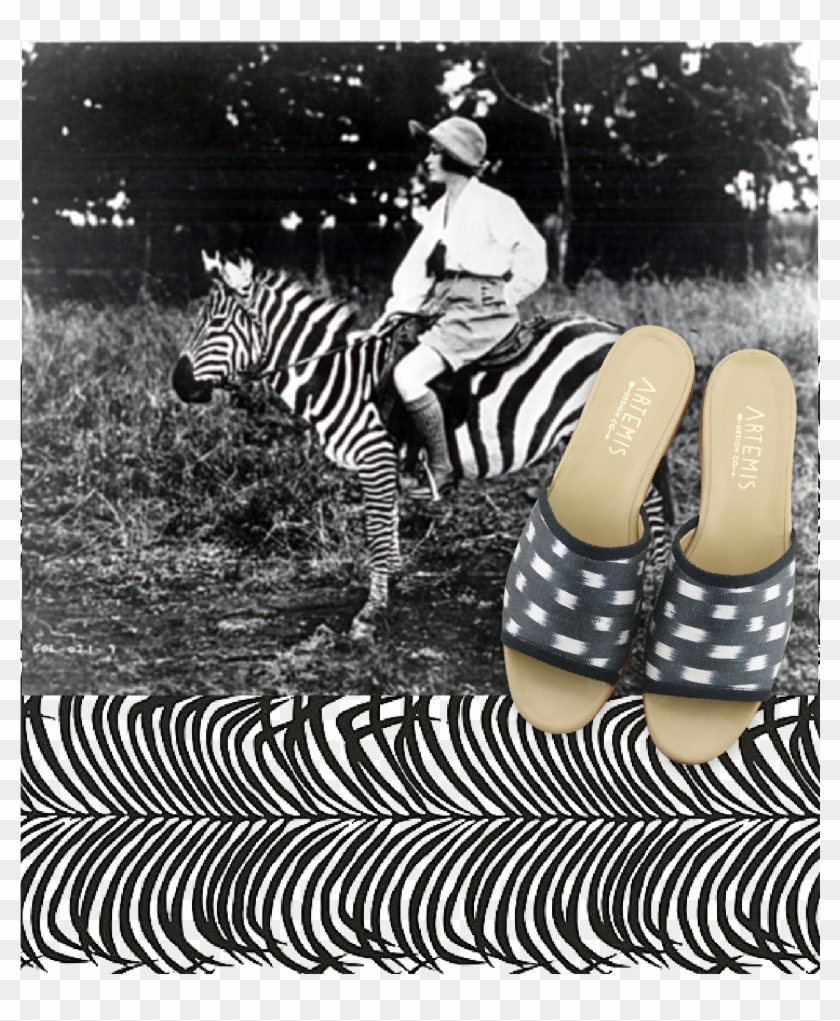 "new Collection - Vintage Safari Clipart #360410