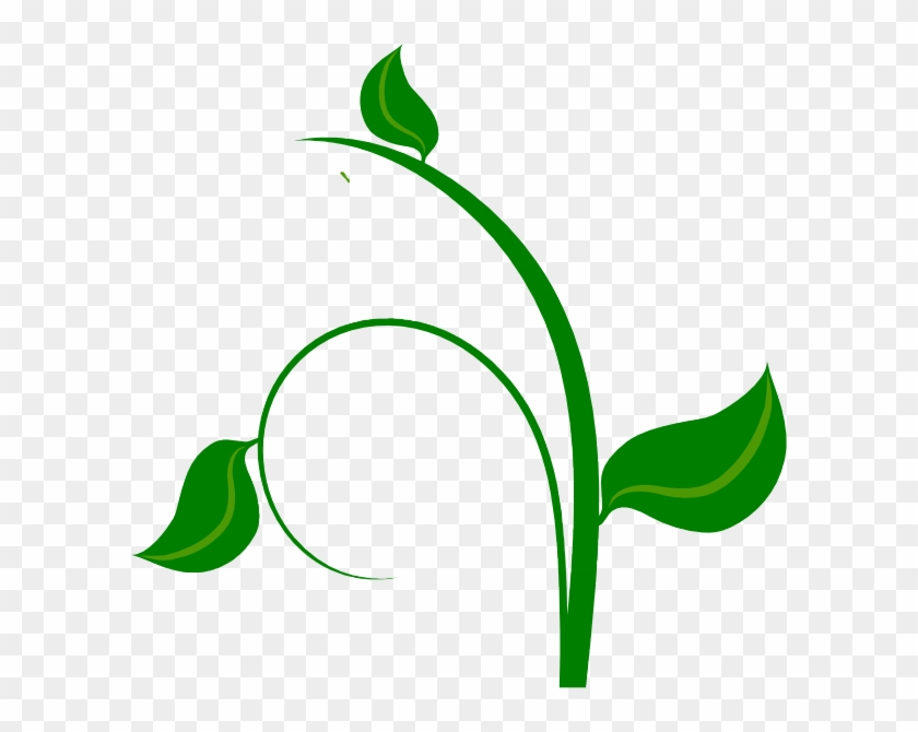 Vines Clipart Rainforest Vine - Green Leaf Png Vector Transparent Png