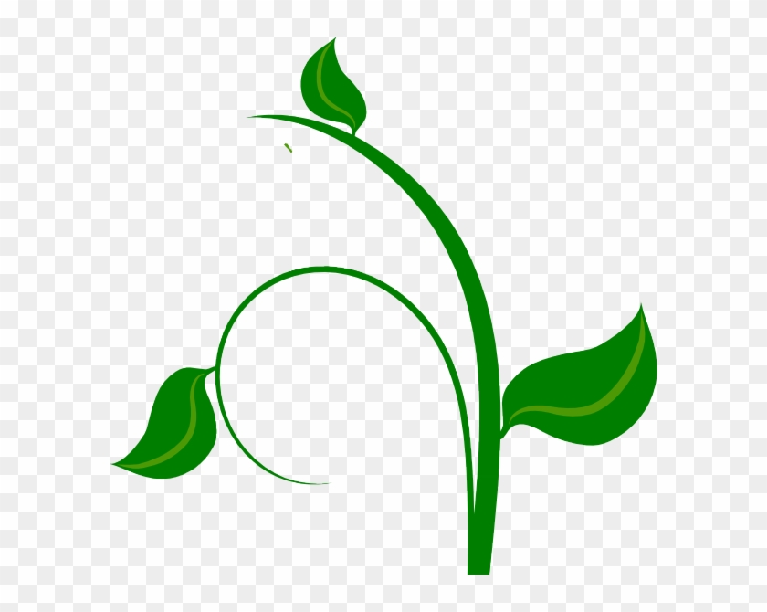 Vines Clipart Rainforest Vine - Green Leaf Png Vector Transparent Png #362138