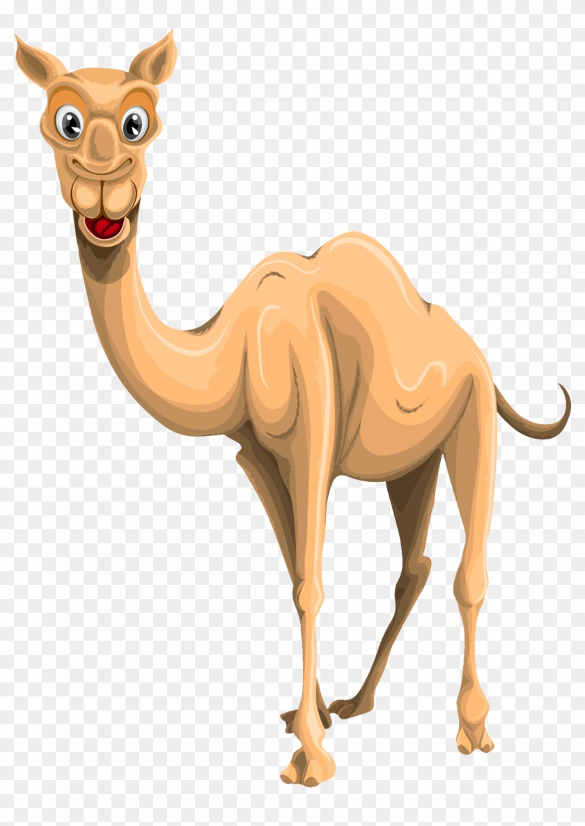 Camel Png Clipart