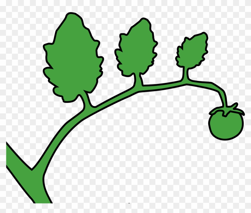 2400 X 1970 3 - Stem Tomato Clip Art - Png Download