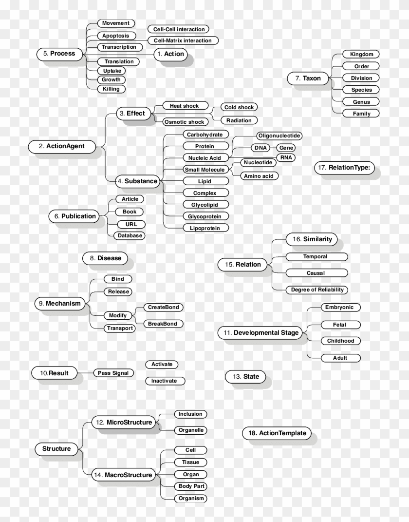 Top Level Taxonomy Of Concepts - Line Art Clipart