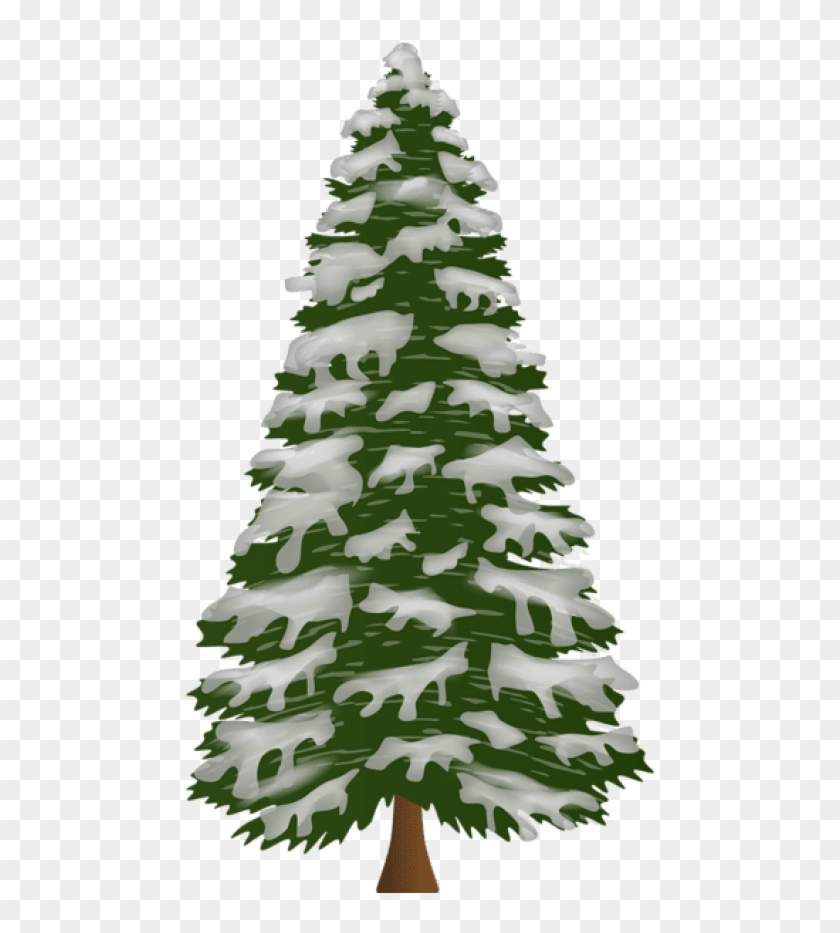 Free Png Pine Tree With Snow Png Png - Pine Tree With Snow Clip Art Transparent Png