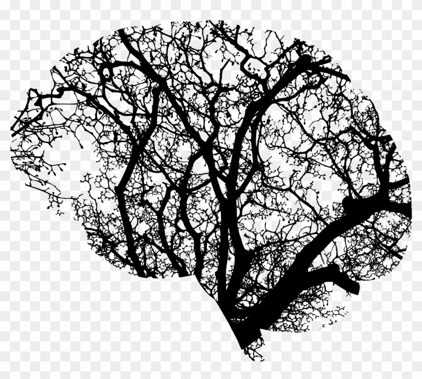 Brain Tree Png Library Stock - Brain And Tree Clipart
