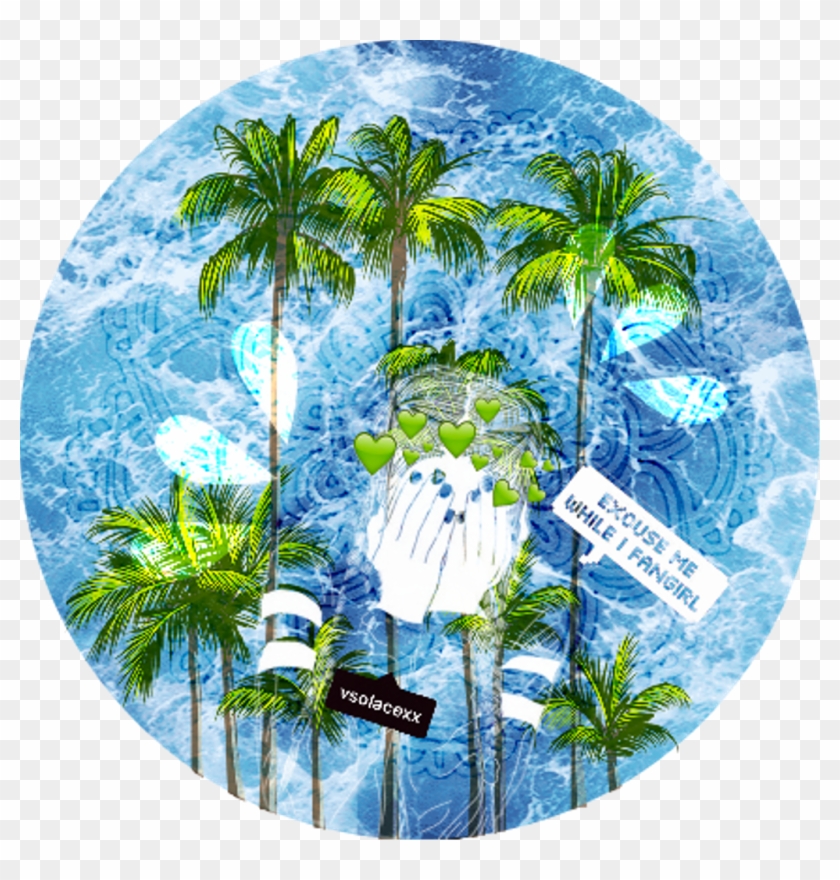 Ocean Water Tumblr Hawaii Tumblr Icon Palmtrees Wood - Icon Backgrounds Clipart