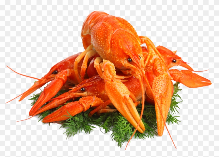 Lobster Png Clipart