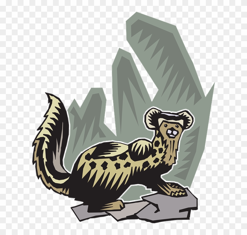 Ferret, Animal, Pet, Mammal, Polecat, Nature, Furry - Ferret Clipart #365128