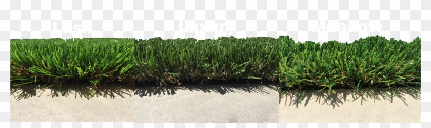 Freo Stone Paving Perth Artificial Grass Clipart #365895