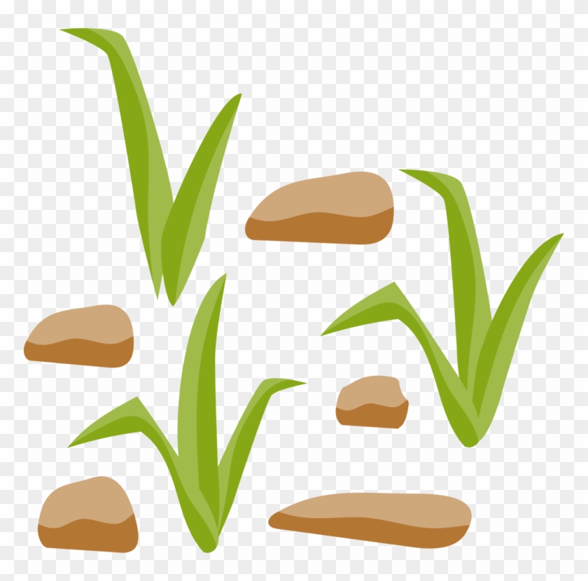 Grasses Rock Grass Gis Computer Icons Diagram - Clip Art - Png Download #365953