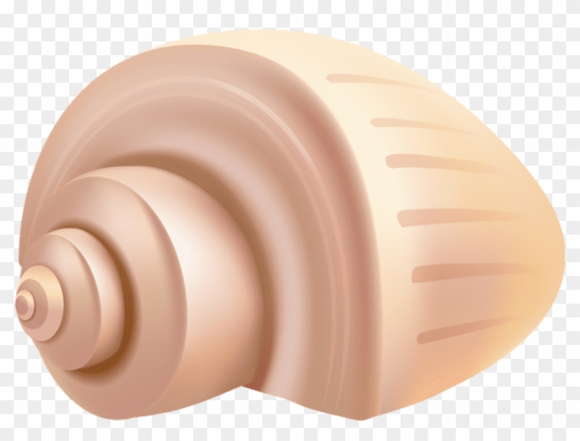 Free Png Download Conch Shell Png Clipart Png Photo - Flying Disc Transparent Png #366192