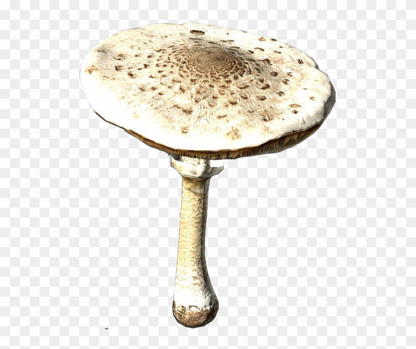 Agaric Clipart #366380