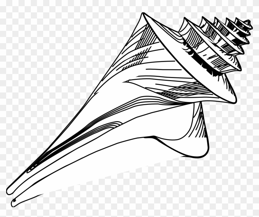 Seashell Clipart Black And White - Sea Shells Objects Cliparts Black And White - Png Download