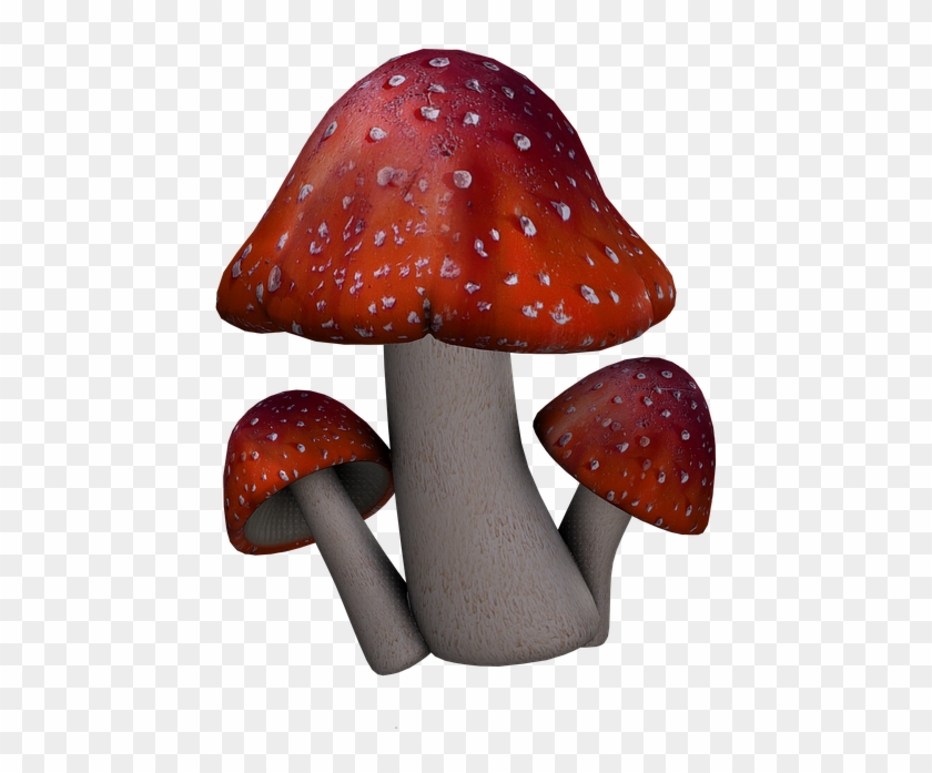 Fantasy Mushrooms Png Clipart