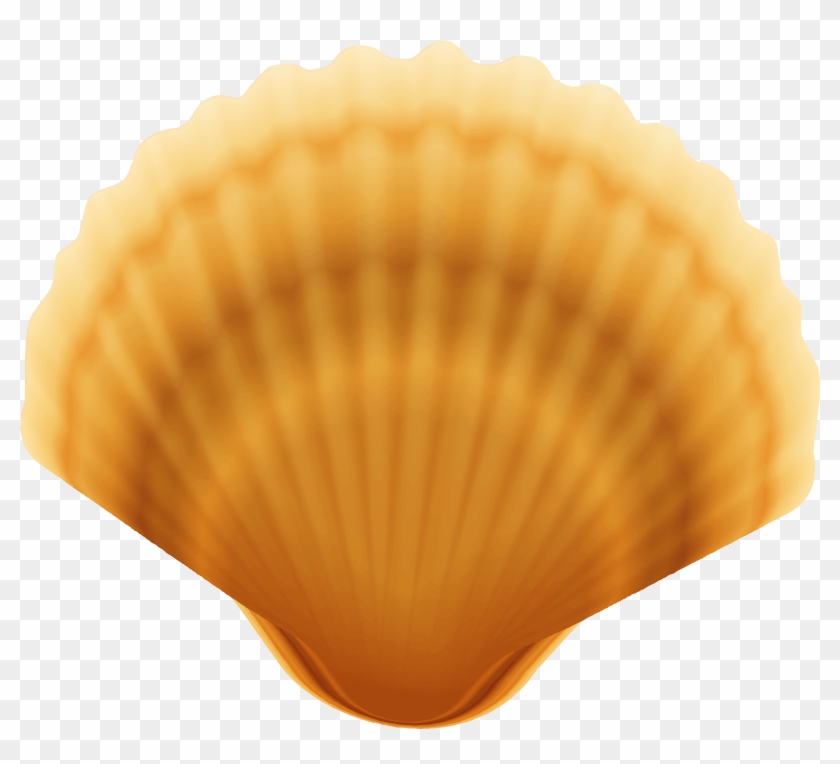 Clam Shell Transparent Png Image - Baltic Clam Clipart #366474