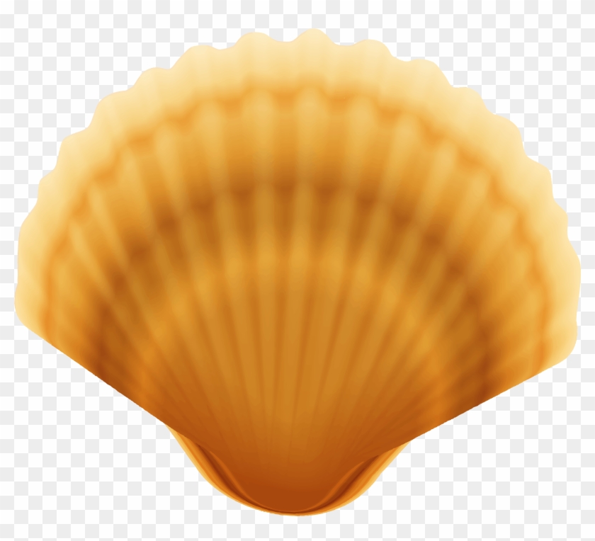 Clam Shell Transparent Png Image - Baltic Clam Clipart