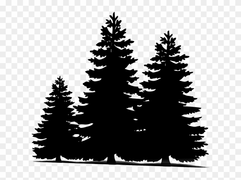 Clipart Resolution 640*548 - Pine Tree Clipart - Png Download #366875