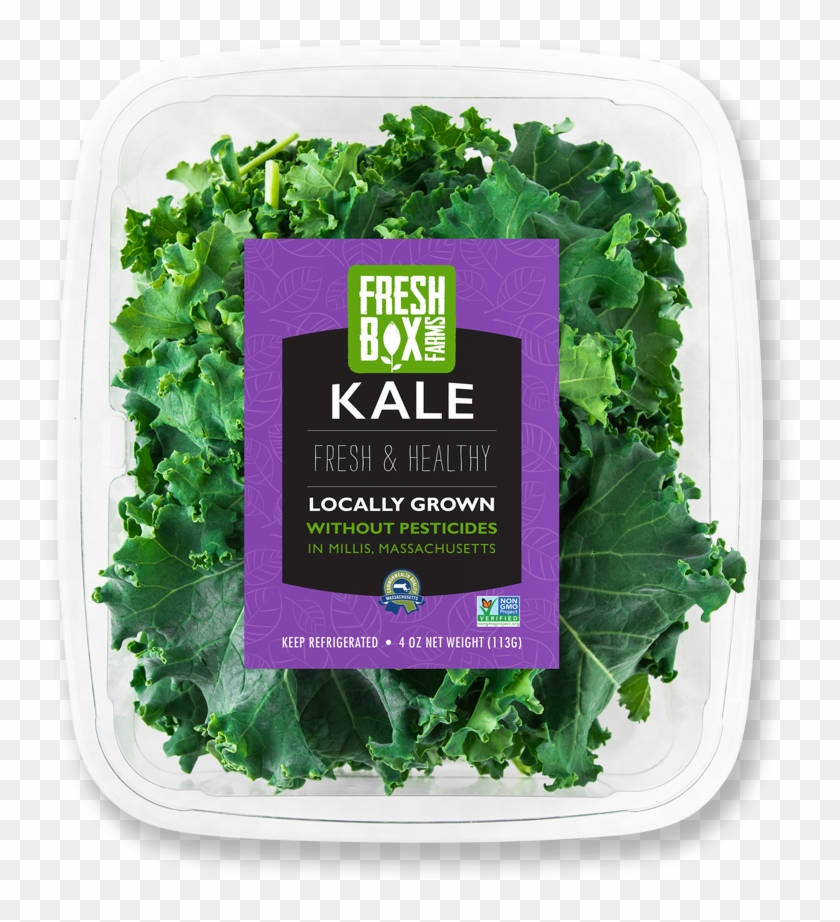 Freshbox Kale - Collard Greens Clipart #367466