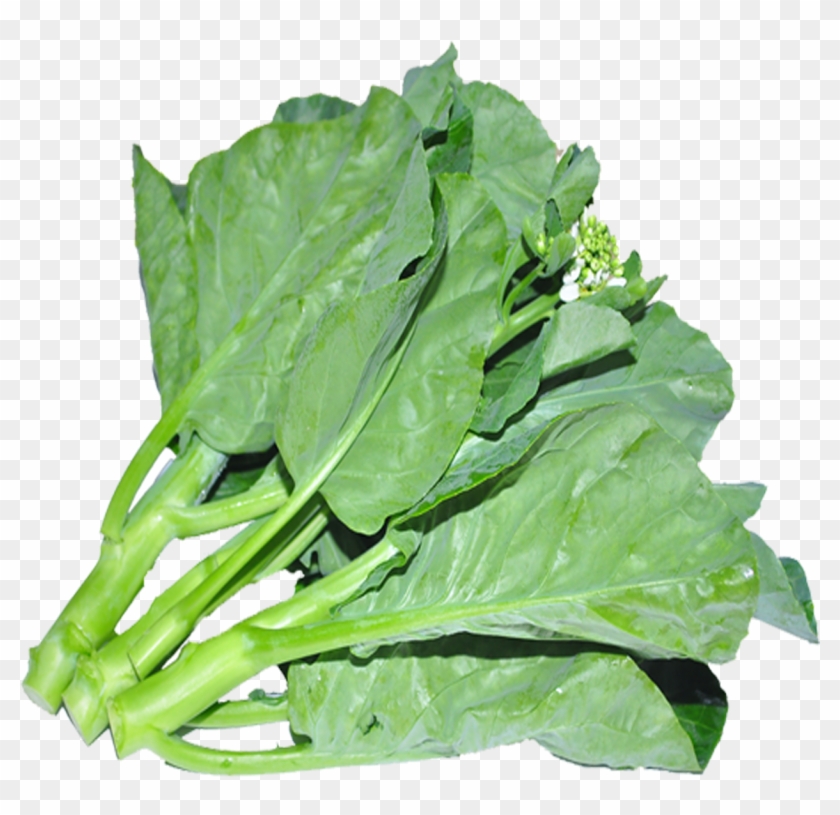 Chinese Kale - Spinach Clipart #367589
