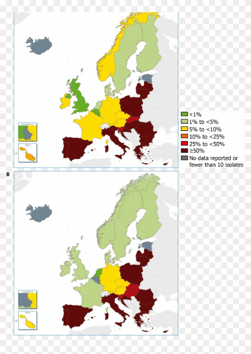 Percentage Of Invasive Acinetobacter Spp - Illustration Clipart