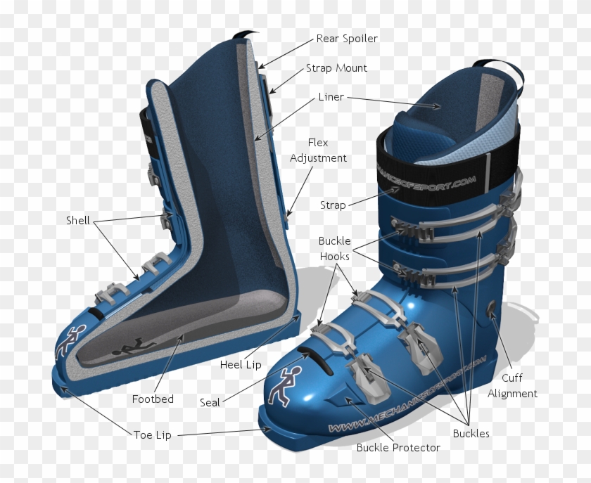 Ski Boot Parts - Downhill Ski Boot Clipart
