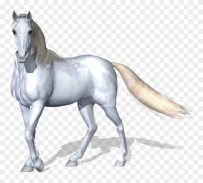 Transparent Horses Fantasy - White Horse Png Clipart