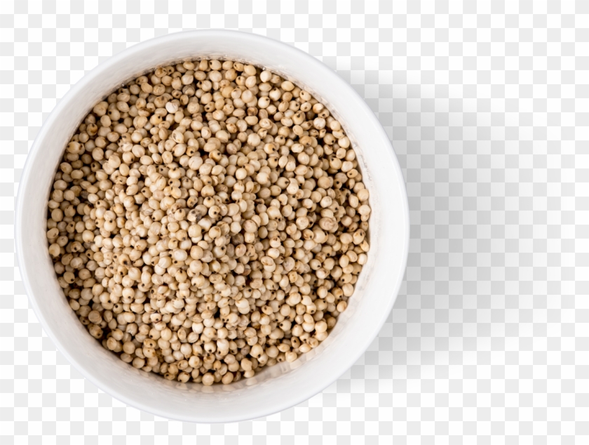 Pulse Clipart #368552