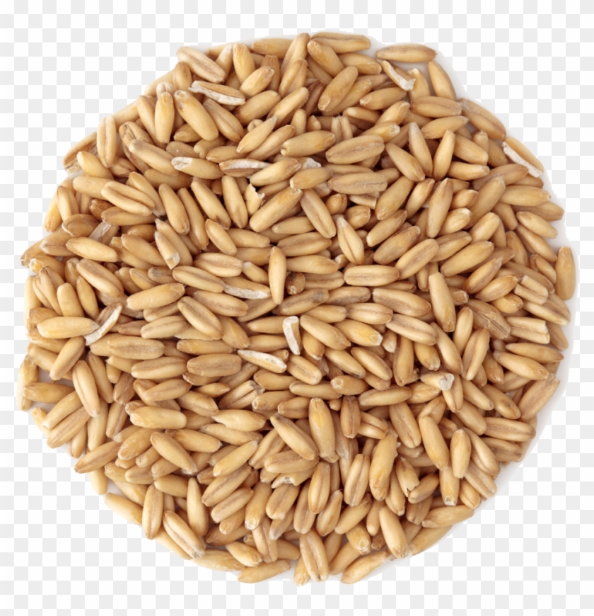 Small Pile Of Grain Clipart