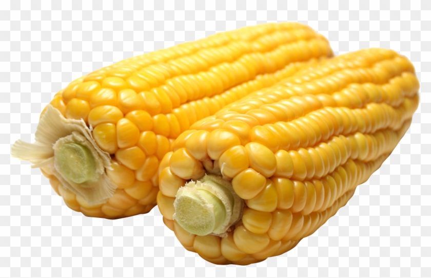 Jpg Transparent Png Image Purepng Free Transparent - Maize Images In Png Clipart #368717