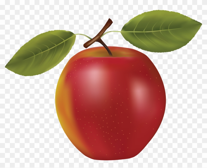 Apple Png Icon - Vector Graphics Clipart