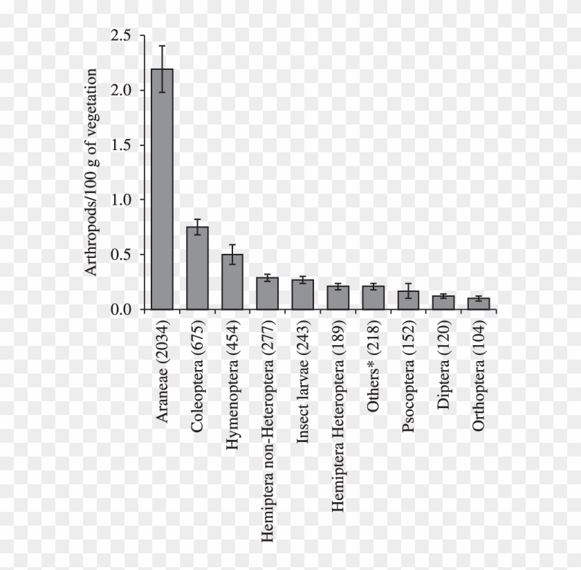 Monthly Mean Of Arthropod/100 G Of Vegetation Collected - Architecture Clipart