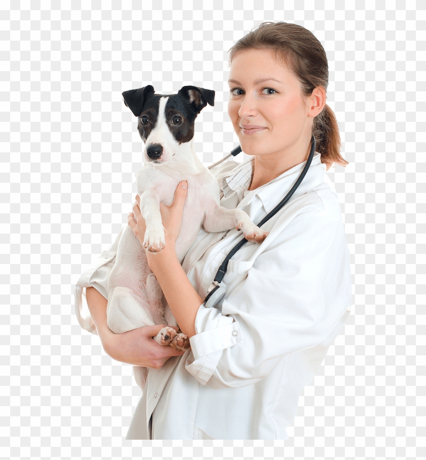 Vet Png - Veterinarian Transparent Clipart