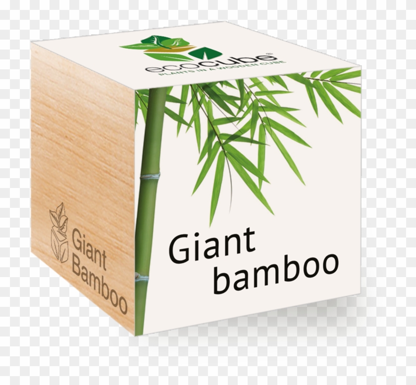 Eco Cube Clipart #3601109