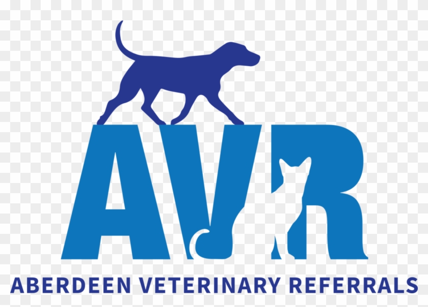 Dog Catches Something Clipart