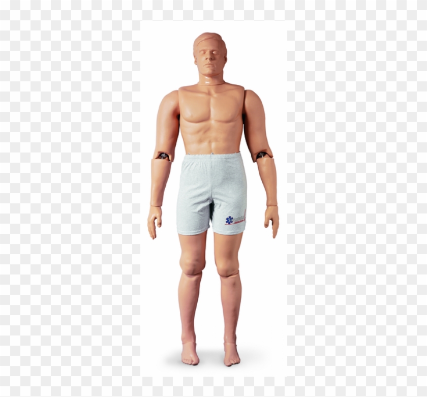 75 Kg 182 Cm Clipart