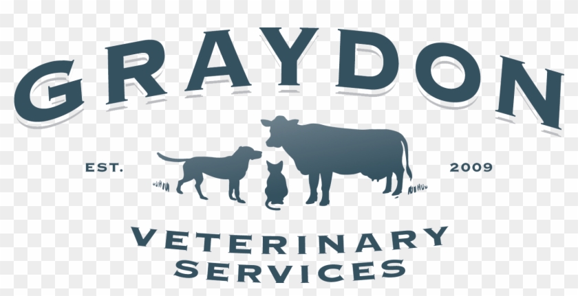 Graydon Veterinary Services - Cattle Clipart #3601377