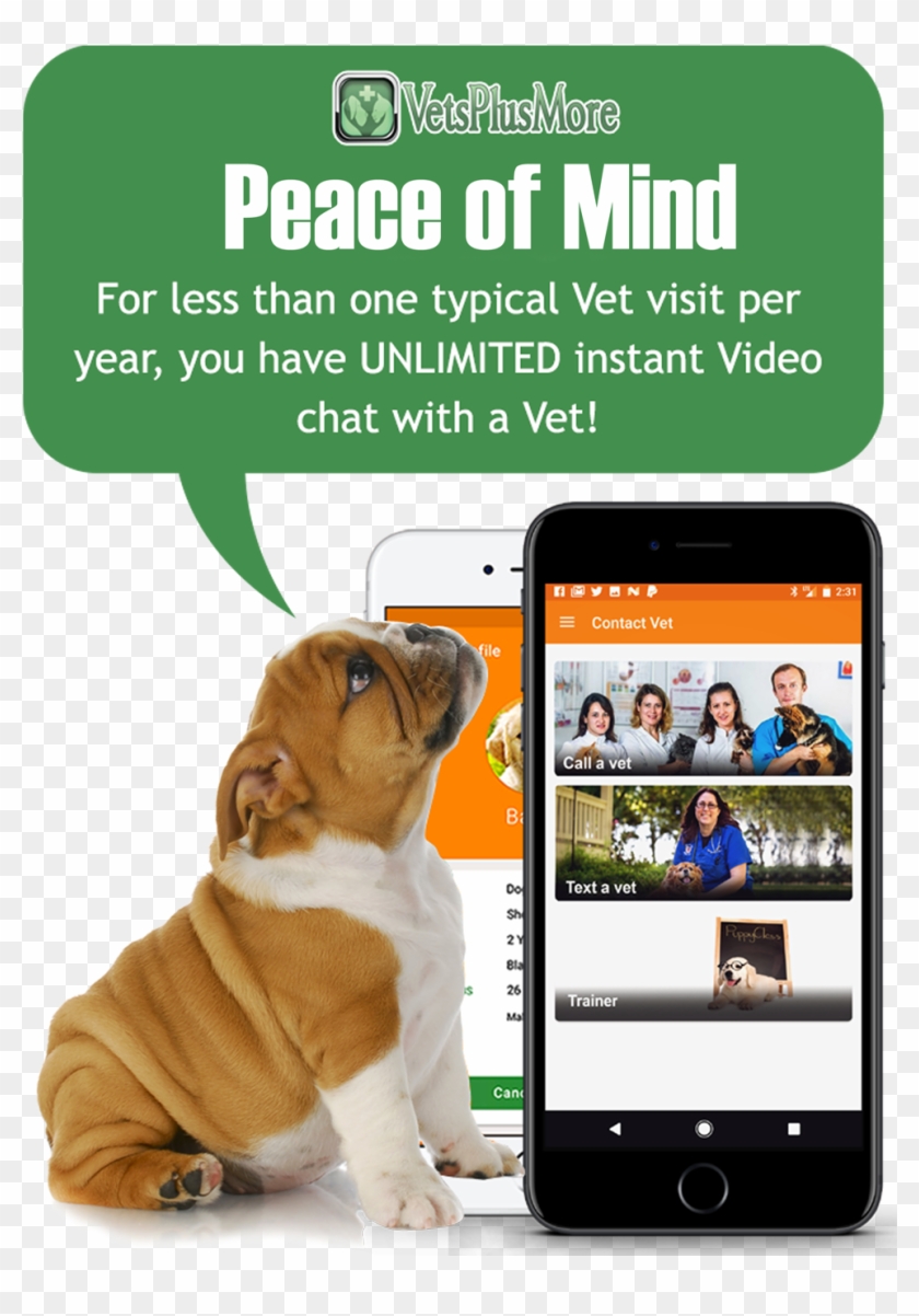 Regional Government Of Castile-la Mancha Clipart